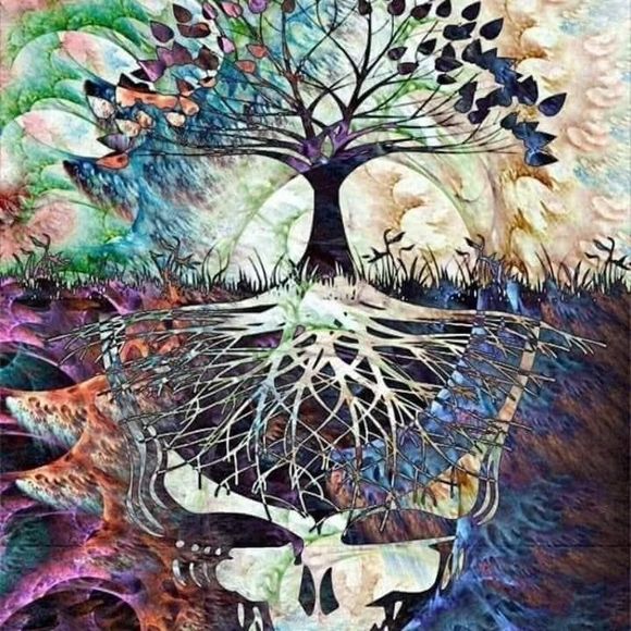 Meet your Posher, Jesi - Picture 1 of 1